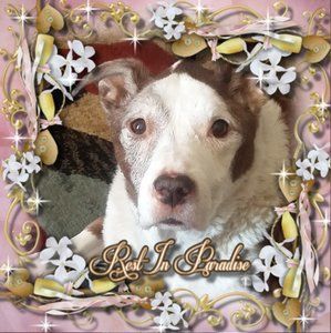 Meet your Posher, Jeff